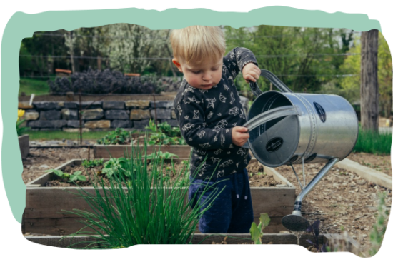 A boy is watering plants in the garden